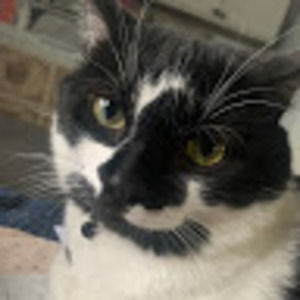 Meet your Posher, Noah